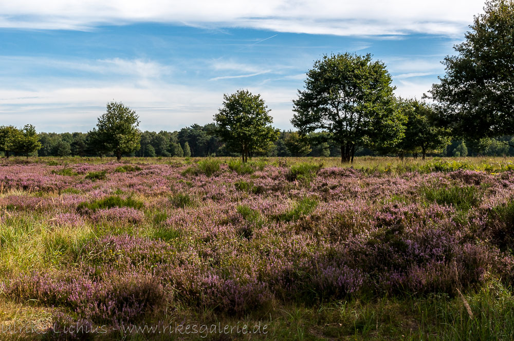 Wahner Heide - September 2012