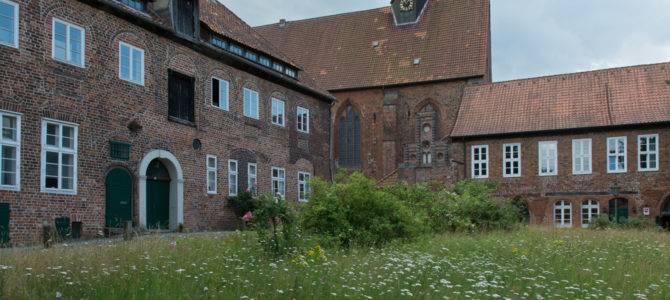 Lüneburger Heide Lüneburger Heide