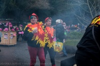 Firebirds