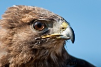 20120325_0365.jpg