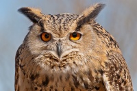 20120325_0419.jpg