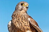 20120325_0450.jpg 