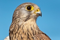 20120325_0464.jpg