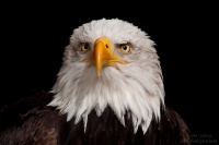 20130901_0586.jpg