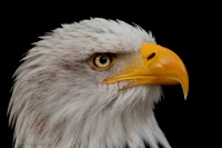 20130901_0788.jpg