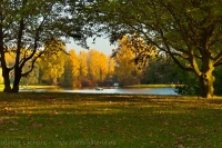 Herbst in der Rheinaue