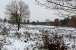 Winter in der Heide